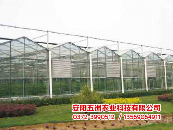 連棟大棚 連棟大棚